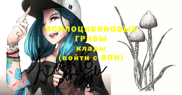 хмурый Абдулино